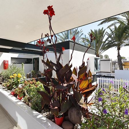 Maspalomas Beach Apartment Charca 1 Eksteriør billede